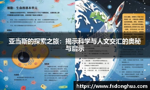 球速体育官网
